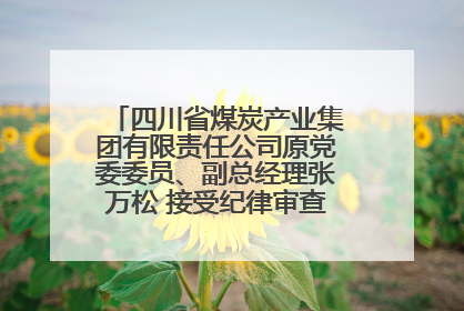 四川省煤炭产业集团有限责任公司原党委委员、副总经理张万松 接受纪律审查和监察调查
