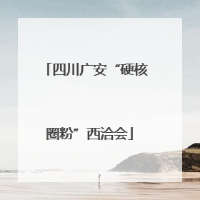 四川广安“硬核圈粉”西洽会