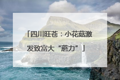 四川旺苍：小花菇激发致富大“蘑力”