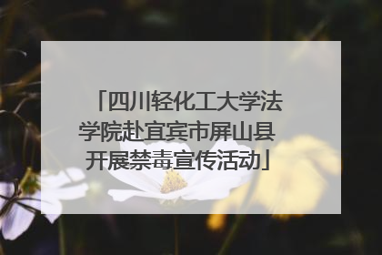 四川轻化工大学法学院赴宜宾市屏山县开展禁毒宣传活动