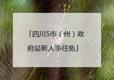 四川5市（州）政府最新人事任免