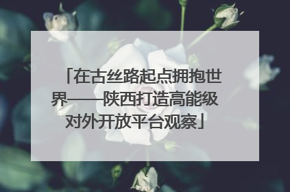 在古丝路起点拥抱世界——陕西打造高能级对外开放平台观察