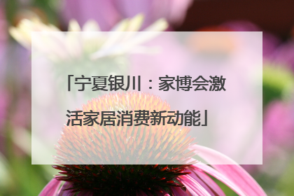 宁夏银川：家博会激活家居消费新动能