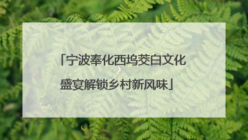 宁波奉化西坞茭白文化盛宴解锁乡村新风味