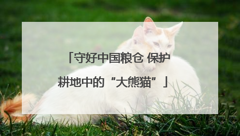 守好中国粮仓 保护耕地中的“大熊猫”