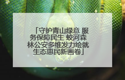 守护青山绿意 服务保障民生 蛟河森林公安多维发力绘就生态惠民新画卷