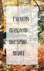 安切洛蒂首次带领巴西队集训