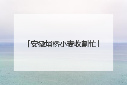 安徽埇桥小麦收割忙