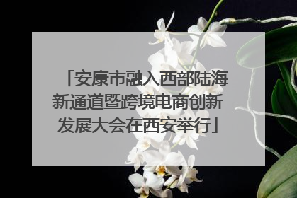 安康市融入西部陆海新通道暨跨境电商创新发展大会在西安举行