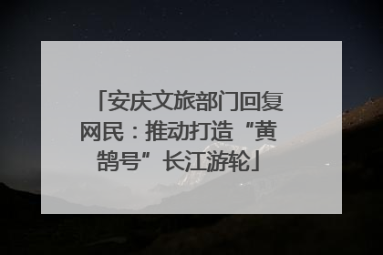 安庆文旅部门回复网民：推动打造“黄鹄号”长江游轮
