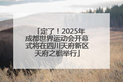 定了！2025年成都世界运动会开幕式将在四川天府新区天府之檐举行