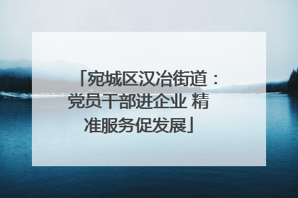 宛城区汉冶街道：党员干部进企业 精准服务促发展