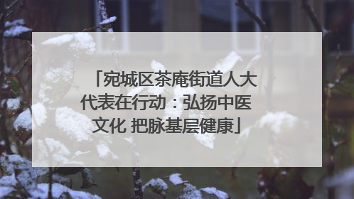 宛城区茶庵街道人大代表在行动：弘扬中医文化 把脉基层健康