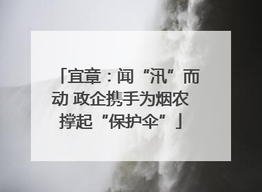 宜章：闻“汛”而动 政企携手为烟农撑起“保护伞”