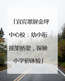 宜宾翠屏金坪中心校：幼小衔接架桥梁，探秘小学初体验