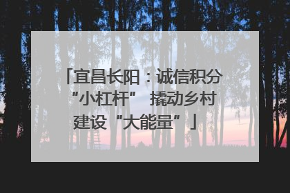 宜昌长阳：诚信积分“小杠杆” 撬动乡村建设“大能量”