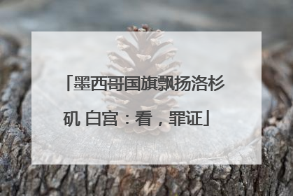 墨西哥国旗飘扬洛杉矶 白宫：看，罪证