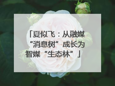 夏似飞：从融媒“消息树”成长为智媒“生态林”