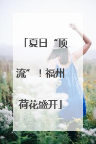 夏日“顶流”！福州荷花盛开