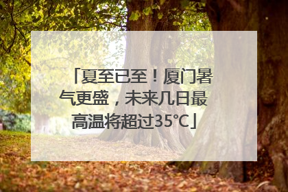 夏至已至！厦门暑气更盛，未来几日最高温将超过35℃