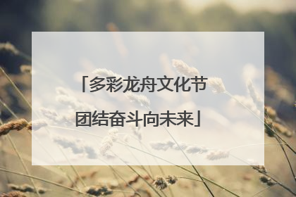 多彩龙舟文化节 团结奋斗向未来