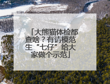 大熊猫体检都查啥？有请模范生“七仔”给大家做个示范
