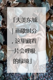 大美东城｜雨歇时分，这里藏着一片会呼吸的绿境
