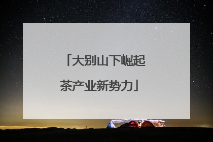 大别山下崛起茶产业新势力