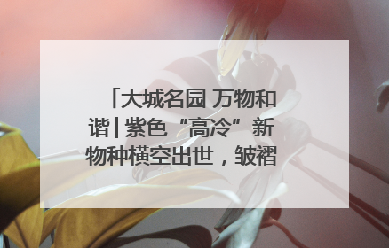 大城名园 万物和谐│紫色“高冷”新物种横空出世，皱褶叶片暗藏进化密码