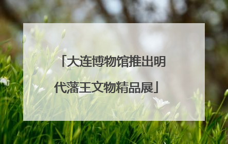 大连博物馆推出明代藩王文物精品展
