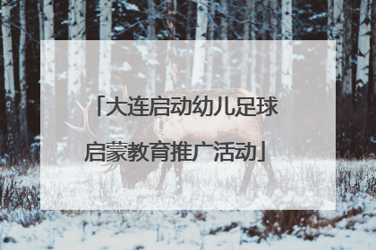 大连启动幼儿足球启蒙教育推广活动