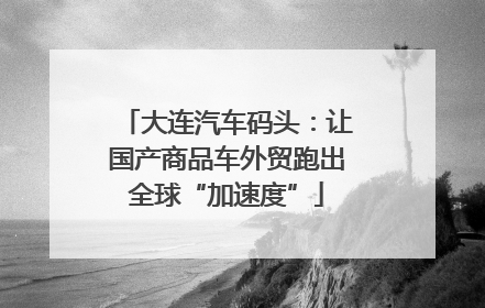 大连汽车码头：让国产商品车外贸跑出全球“加速度”
