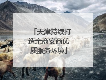 天津持续打造亲商安商优质服务环境