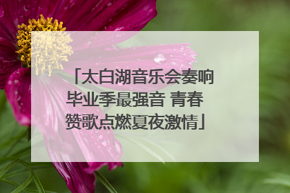 太白湖音乐会奏响毕业季最强音 青春赞歌点燃夏夜激情