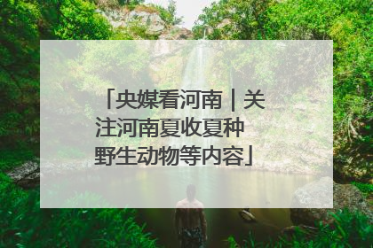 央媒看河南｜关注河南夏收夏种 野生动物等内容