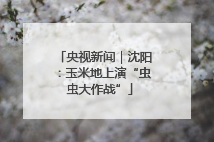 央视新闻｜沈阳：玉米地上演“虫虫大作战”