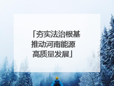 夯实法治根基 推动河南能源高质量发展
