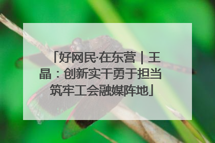 好网民·在东营｜王晶：创新实干勇于担当 筑牢工会融媒阵地