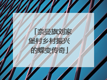 奈曼旗刘家堡村乡村振兴的蝶变传奇