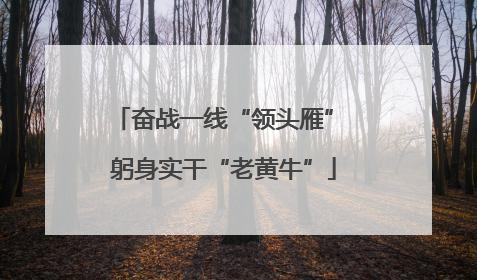 奋战一线“领头雁” 躬身实干“老黄牛”