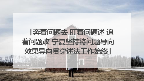 奔着问题去 盯着问题述 追着问题改 宁夏坚持将问题导向效果导向贯穿述法工作始终