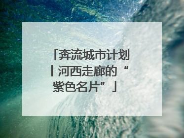 奔流城市计划丨河西走廊的“紫色名片”