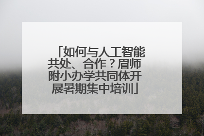 如何与人工智能共处、合作？眉师附小办学共同体开展暑期集中培训