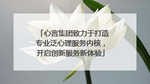 心言集团致力于打造专业泛心理服务内核，开启创新服务新体验