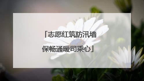 志愿红筑防汛墙 保畅通暖司乘心