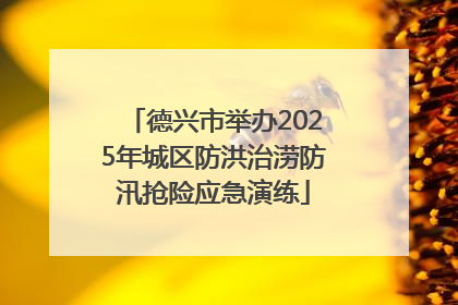 德兴市举办2025年城区防洪治涝防汛抢险应急演练