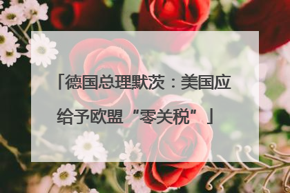 德国总理默茨：美国应给予欧盟“零关税”