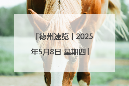 德州速览丨2025年5月8日 星期四