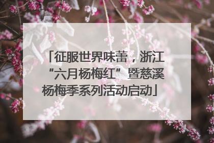 征服世界味蕾，浙江“六月杨梅红”暨慈溪杨梅季系列活动启动