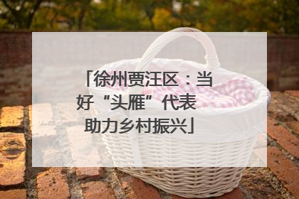 徐州贾汪区：当好“头雁”代表 助力乡村振兴